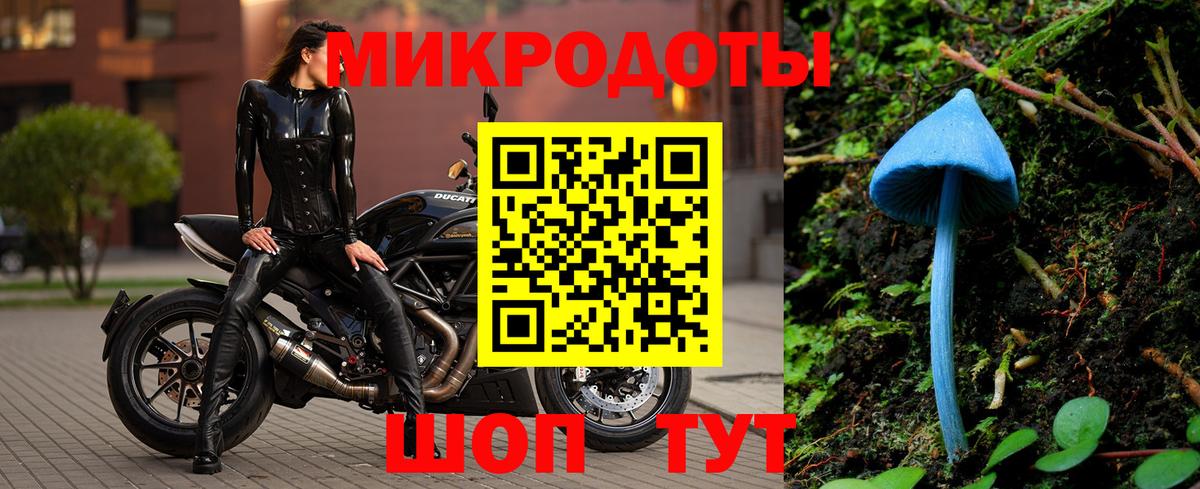 Псилоцибиновые грибы MAGIC MUSHROOMS  Вход с VPN  Галлюциногенные грибы MAGIC MUSHROOMS  Чита 